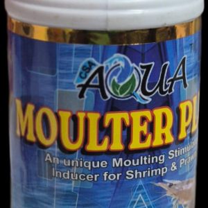Moulter P;lus