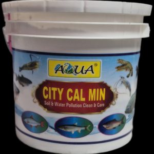 City Cal Min